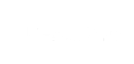 BlackFin Capital Partners